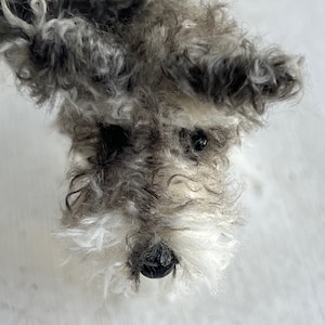Schnauzer decoration Miniature schnauzer decoration.