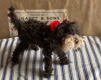 Faded black Labradoodle