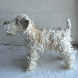 Wheaten Terrier miniature