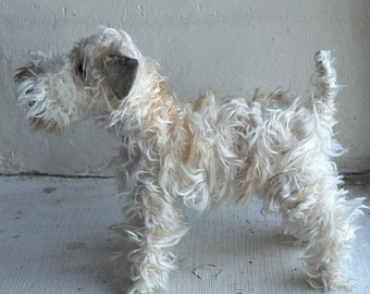 Wheaten Terrier miniature