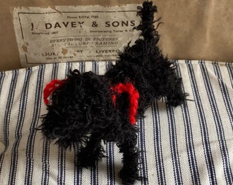 Solid black cockapoo, black labradoodle, black cavapoo.