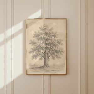 Puede incluir: Un dibujo en blanco y negro enmarcado de un árbol. La obra de arte presenta una representación detallada de un árbol grande con una copa llena de hojas. El marco es de color marrón claro y la obra está montada sobre un fondo crema.