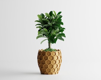 Beehavia Hexagonal Planter: Modern Geometric Honeycomb Design for Succulents, Small Plants