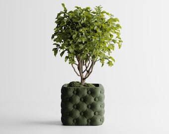 Chesterra Plant Pot