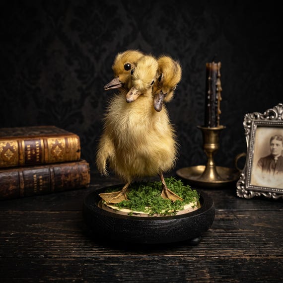 A handmade three-headed duck sculpture that sits perfectly at the intersection of whimsy and the macabre — the kind of thing you stare at for 10 seconds before bursting out laughing, then immediately want on your shelf.