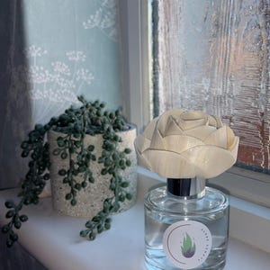 May include: A clear glass diffuser bottle with a silver collar and a light-coloured wooden rose-shaped top. The bottle has a label with a green and purple flame design. A small potted plant sits to the left.