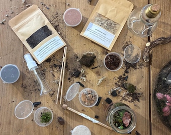 DIY Terrarium Kit: Bodengrund, Moos, Sand, Werkzeuge (UK Eco Freundlich)
