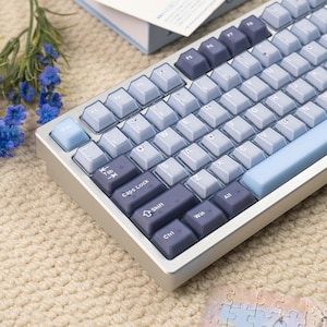 May include: A mechanical keyboard with a silver frame and light blue and dark blue keycaps. The keyboard has a standard QWERTY layout with function keys and arrow keys. The keycaps are a gradient of light to dark blue.