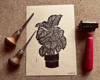 Linoldruck Pflanze „Maranta orbifolia“ Linolschnitt