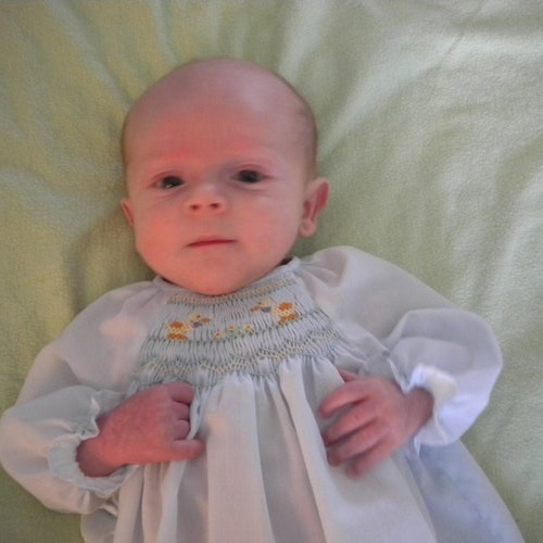 Baby Boy Blue Toile Hand Smocked Gown