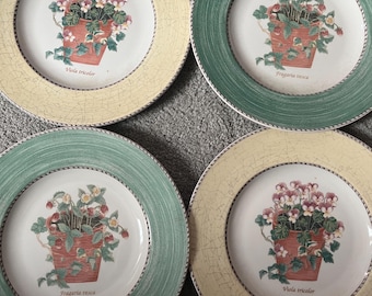 Wedgewood Sarah’s Garden 8” accent plates x 4