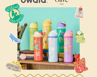 Owala Disney Princess 24oz FreeSip Water Bottle, Insulated Leakproof Stainless Steel Bottle, Limited Edition Collector
