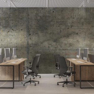 Peut inclure: Un espace de bureau avec deux bureaux &eacute;quip&eacute;s de plusieurs &eacute;crans d'ordinateur. Des chaises de bureau noires sont plac&eacute;es &agrave; chaque bureau. La pi&egrave;ce a un mur en b&eacute;ton et des &eacute;tag&egrave;res en bois avec des plantes et des objets d&eacute;coratifs.
