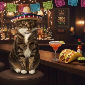 May include: A tabby cat wearing a sombrero sits on a bar stool in a bar decorated for Cinco de Mayo. A margarita, tacos, and a bottle of hot sauce are on the bar. A sign reads "Cinco de Mayo Fiesta."