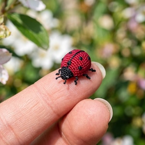 Może przedstawiać: Ręcznie wykonana, miniaturowa biedronka, głównie czerwona z czarnymi kropkami i czarną głową, spoczywa na czubku palca. Szydełkowany owad prezentuje szczegółowe rzemiosło, z maleńkimi nogami i czułkami. Tło to miękkie skupienie zielonych liści i białych kwiatów.