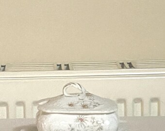 Beurrier ancien en porcelaine de Victoria Schmidt Altrohlau avec couvercle, cadeau vintage Boho autrichien couvert de fleurs sauvages, Chine