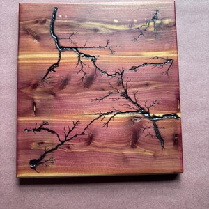 May include: A square wooden art piece with a reddish-brown and yellow-toned wood grain. Black fractal patterns resembling tree branches are burned into the wood. The artwork is displayed on a solid background.