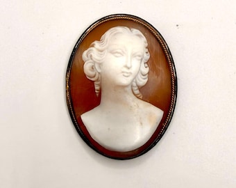 Shell Cameo Framed Classical Bust