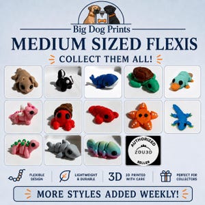 Articulating Flexi Animals 3D Printed Fidget Toy | Poseable Desk Pet | Cute Sensory Toy | Dolphin Whale Dragon Shark Turtle Dinosaur