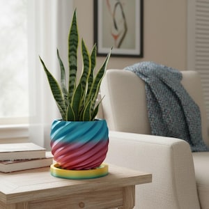 May include: A potted snake plant in a colorful, spiral-designed planter. The planter transitions from blue to red, with a matching saucer. The plant has tall, green leaves with yellow edges, adding a vibrant touch to the decor.