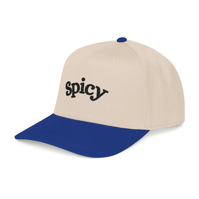Spicy Hat, Booktok Baseball Cap, Romance Reader Hat, Spicy Booktok Merch, Book Lover Gift, Trendy Black Dad Hat, Smut Aesthetic Cap image 8