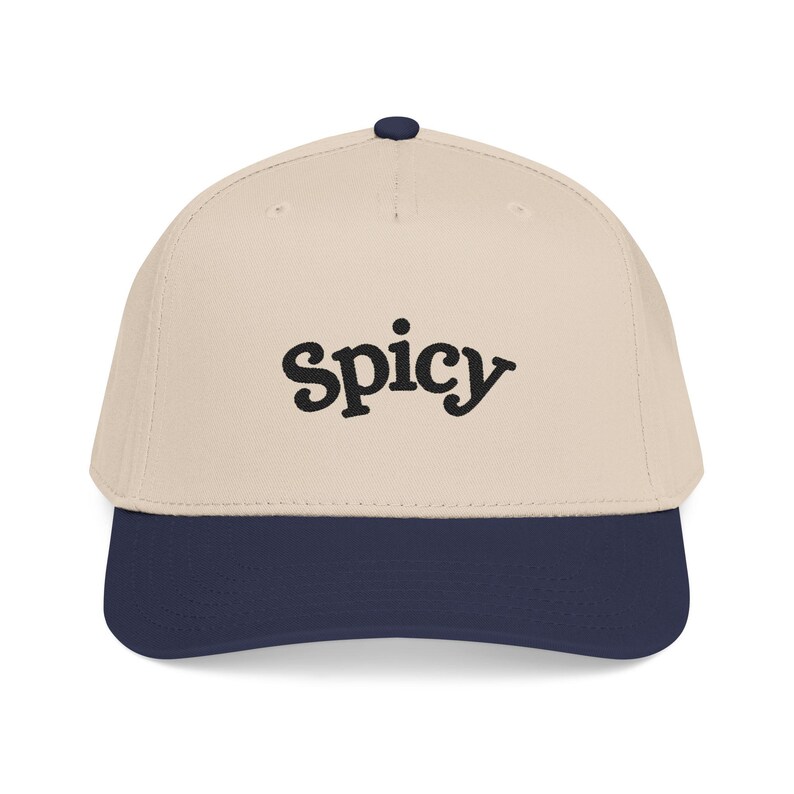 Spicy Hat, Booktok Baseball Cap, Romance Reader Hat, Spicy Booktok Merch, Book Lover Gift, Trendy Black Dad Hat, Smut Aesthetic Cap image 9