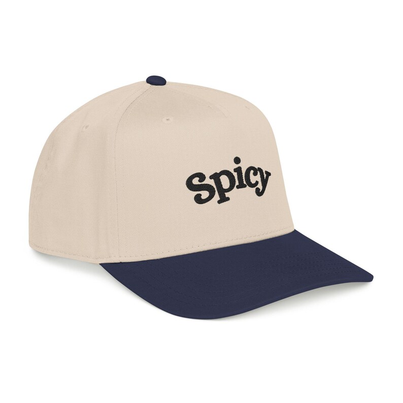 Spicy Hat, Booktok Baseball Cap, Romance Reader Hat, Spicy Booktok Merch, Book Lover Gift, Trendy Black Dad Hat, Smut Aesthetic Cap image 10