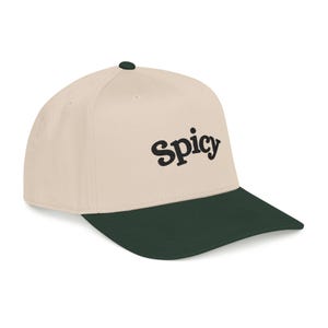 Spicy Hat, Booktok Baseball Cap, Romance Reader Hat, Spicy Booktok Merch, Book Lover Gift, Trendy Black Dad Hat, Smut Aesthetic Cap image 4