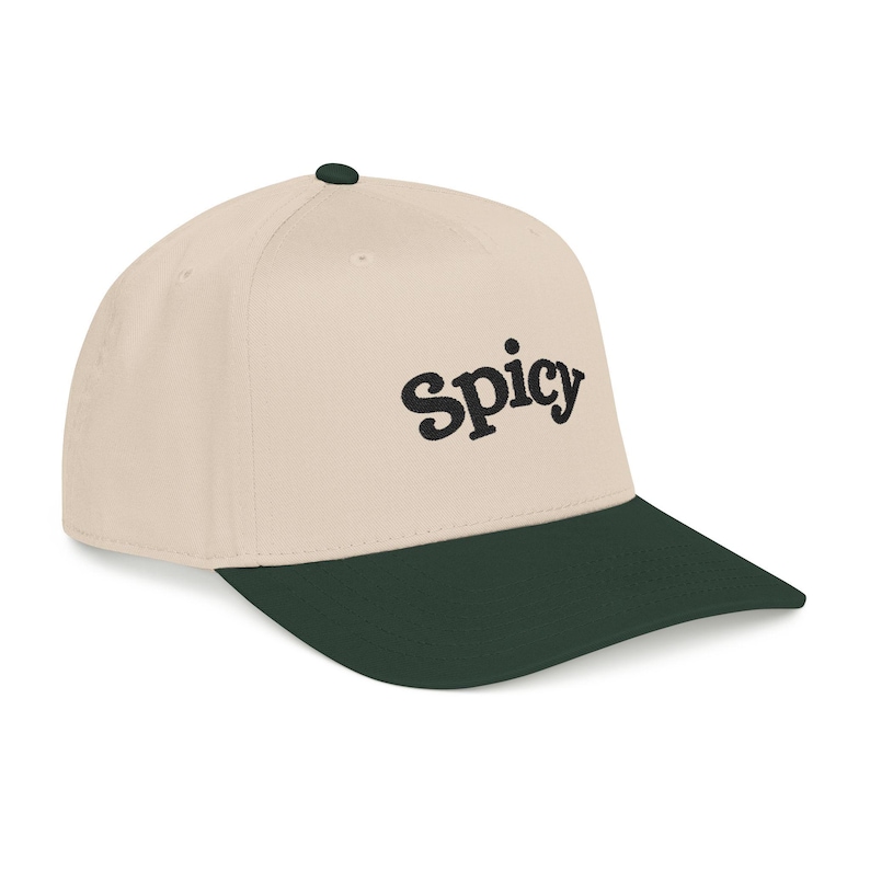 Spicy Hat, Booktok Baseball Cap, Romance Reader Hat, Spicy Booktok Merch, Book Lover Gift, Trendy Black Dad Hat, Smut Aesthetic Cap image 4