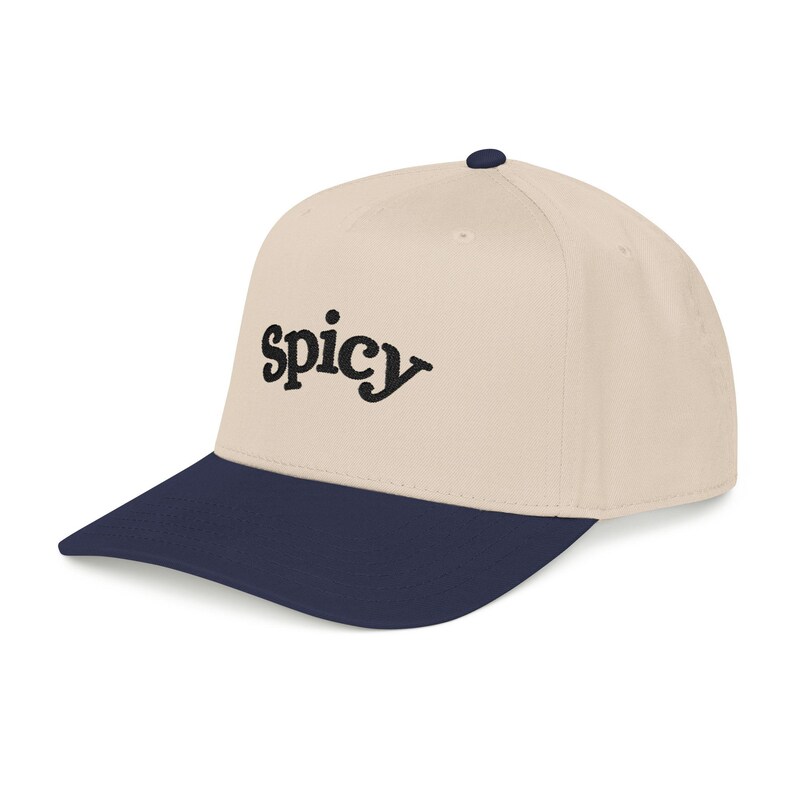 Spicy Hat, Booktok Baseball Cap, Romance Reader Hat, Spicy Booktok Merch, Book Lover Gift, Trendy Black Dad Hat, Smut Aesthetic Cap image 11