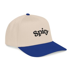 Spicy Hat, Booktok Baseball Cap, Romance Reader Hat, Spicy Booktok Merch, Book Lover Gift, Trendy Black Dad Hat, Smut Aesthetic Cap image 7