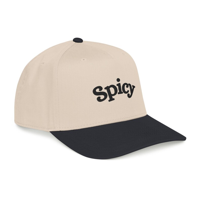 Spicy Hat, Booktok Baseball Cap, Romance Reader Hat, Spicy Booktok Merch, Book Lover Gift, Trendy Black Dad Hat, Smut Aesthetic Cap image 13