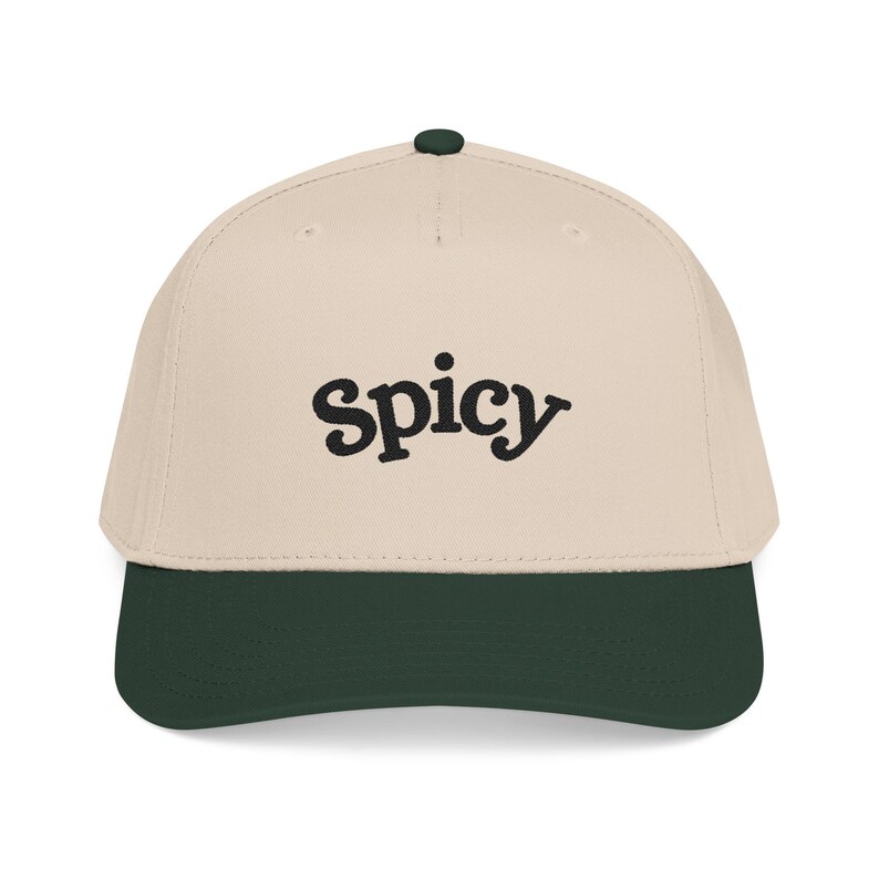 Spicy Hat, Booktok Baseball Cap, Romance Reader Hat, Spicy Booktok Merch, Book Lover Gift, Trendy Black Dad Hat, Smut Aesthetic Cap image 3