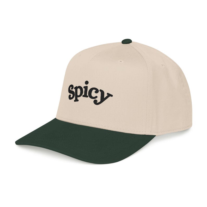 Spicy Hat, Booktok Baseball Cap, Romance Reader Hat, Spicy Booktok Merch, Book Lover Gift, Trendy Black Dad Hat, Smut Aesthetic Cap image 5