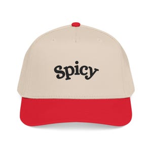 Spicy Hat, Booktok Baseball Cap, Romance Reader Hat, Spicy Booktok Merch, Book Lover Gift, Trendy Black Dad Hat, Smut Aesthetic Cap image 15
