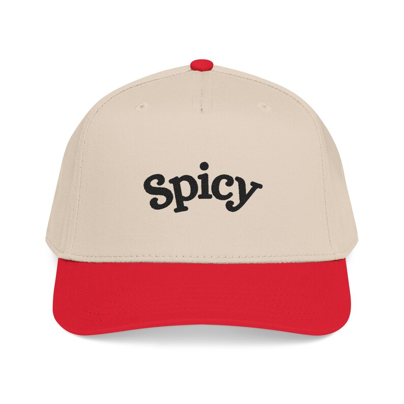 Spicy Hat, Booktok Baseball Cap, Romance Reader Hat, Spicy Booktok Merch, Book Lover Gift, Trendy Black Dad Hat, Smut Aesthetic Cap image 15