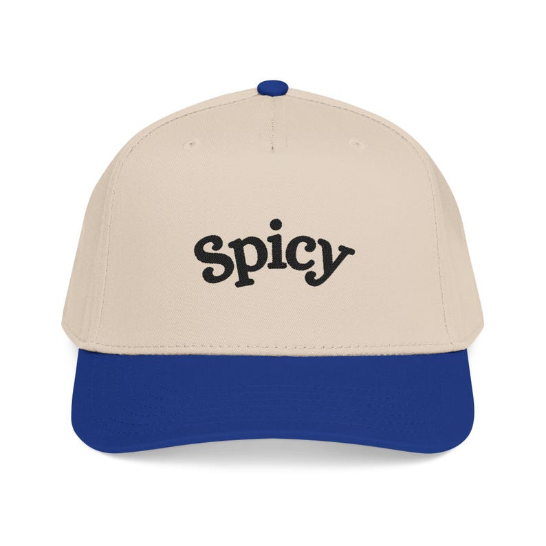 Spicy Hat, Booktok Baseball Cap, Romance Reader Hat, Spicy Booktok Merch, Book Lover Gift, Trendy Black Dad Hat, Smut Aesthetic Cap image 6