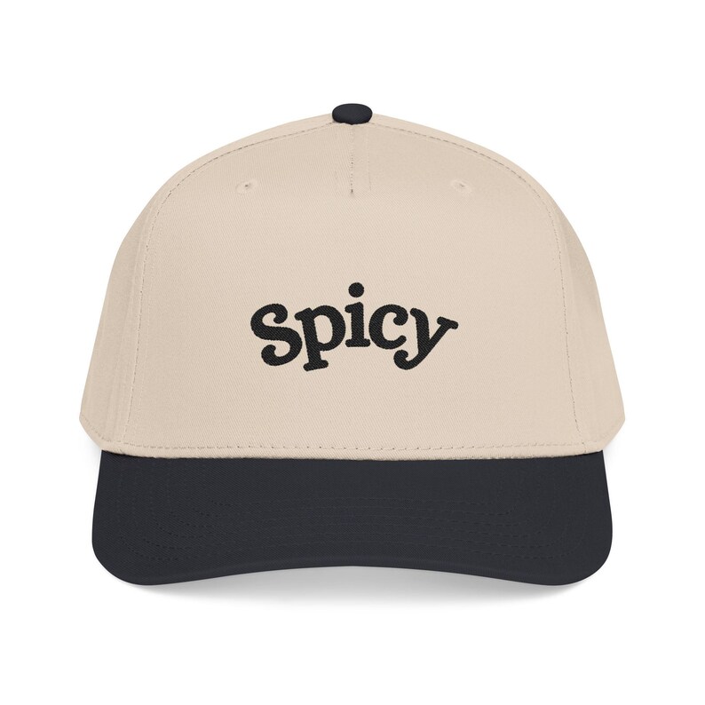 Spicy Hat, Booktok Baseball Cap, Romance Reader Hat, Spicy Booktok Merch, Book Lover Gift, Trendy Black Dad Hat, Smut Aesthetic Cap image 12