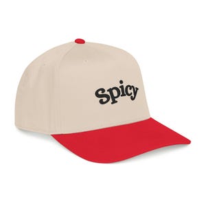 Spicy Hat, Booktok Baseball Cap, Romance Reader Hat, Spicy Booktok Merch, Book Lover Gift, Trendy Black Dad Hat, Smut Aesthetic Cap image 16