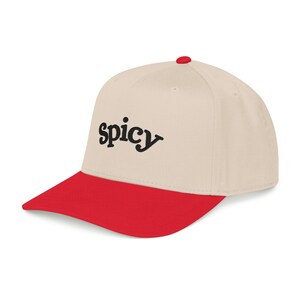 Spicy Hat, Booktok Baseball Cap, Romance Reader Hat, Spicy Booktok Merch, Book Lover Gift, Trendy Black Dad Hat, Smut Aesthetic Cap image 17