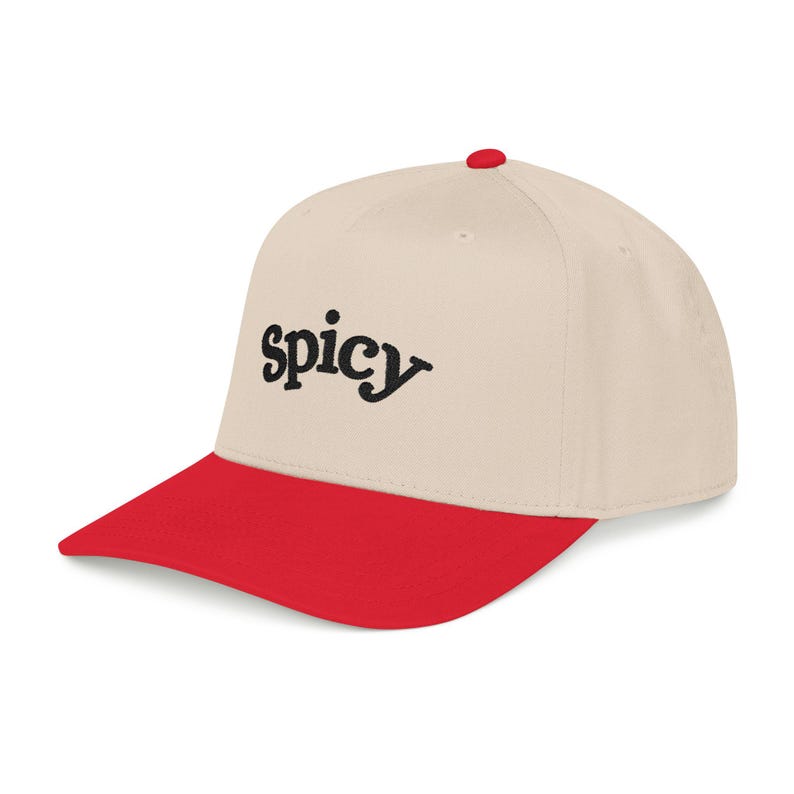 Spicy Hat, Booktok Baseball Cap, Romance Reader Hat, Spicy Booktok Merch, Book Lover Gift, Trendy Black Dad Hat, Smut Aesthetic Cap image 17