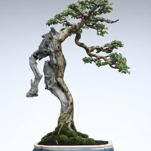 Könnte beinhalten: Rustikales Holzschild mit dem Text "Welcome to our home" in weißer Schrift. Das Schild hat eine Used-Optik und ein schlichtes, einladendes Design, perfekt für eine Veranda oder einen Eingangsbereich.