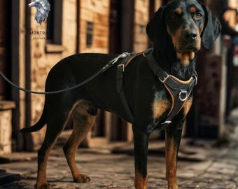 May include: A black and tan dog wearing a black leather harness with silver fittings. The harness features tan edging and a D-ring for a lead. The dog stands on a cobbled street.