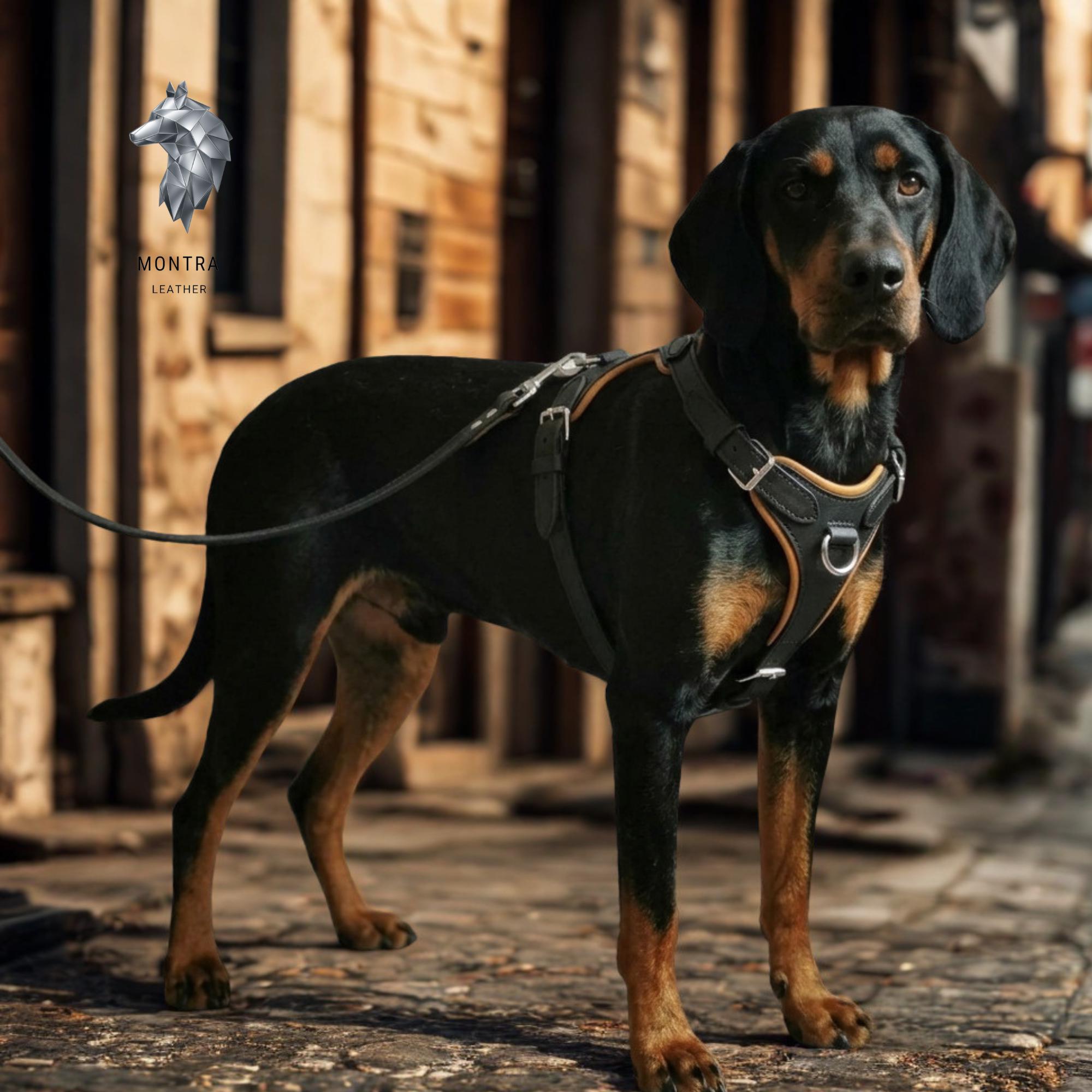 Doberman harness - Etsy 日本