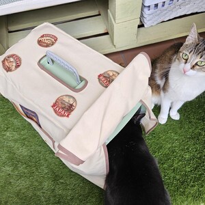 Puede incluir: Un transportín beige para mascotas con parches de destinos de viaje, incluyendo Japón, Brasil y Egipto. Un gato atigrado marrón y blanco está sentado en una alfombra verde, mirando a la cámara. Un gato negro está dentro del transportín.