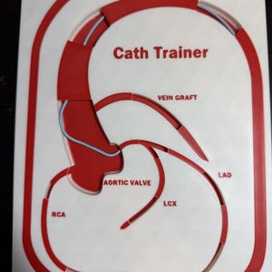 Może przedstawiać: Biało-czerwony model Cath Trainer z napisami "Cath Trainer", "Vein Graft", "Aortic Valve", "RCA", "LCX" i "LAD". Model ma czerwone kontury oraz niebieskie i przezroczyste rurki. U góry znajduje się zielone złącze.