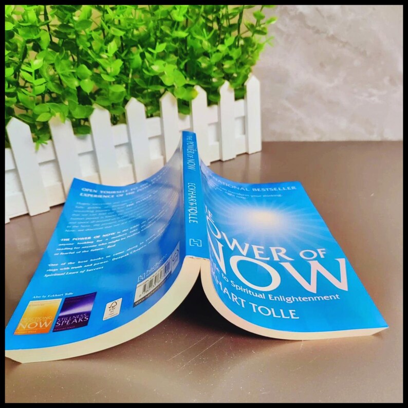 The Power of Now Eckhart Tolle Spiritual Enlightenment Paperback Book image 5