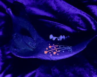 Black Light Cow Jaw Glow Bone Art, Gothic Oddity Decor, Real Bone Curio Cabinet