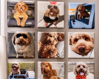 Personalisierte Haustier Foto Magnete 2x2 | Personalisierte Kühlschrankmagnet mit Hund, Katze oder irgend einem Haustier | Geschenk für Tierliebhaber
