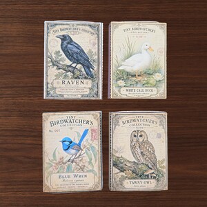 May include: Four rectangular matchboxes from the Tiny Birdwatcher's Collection. Each box features a vintage-style illustration of a bird: a black raven, a white call duck, a blue wren, and a tawny owl, with corresponding text labels and scientific names.